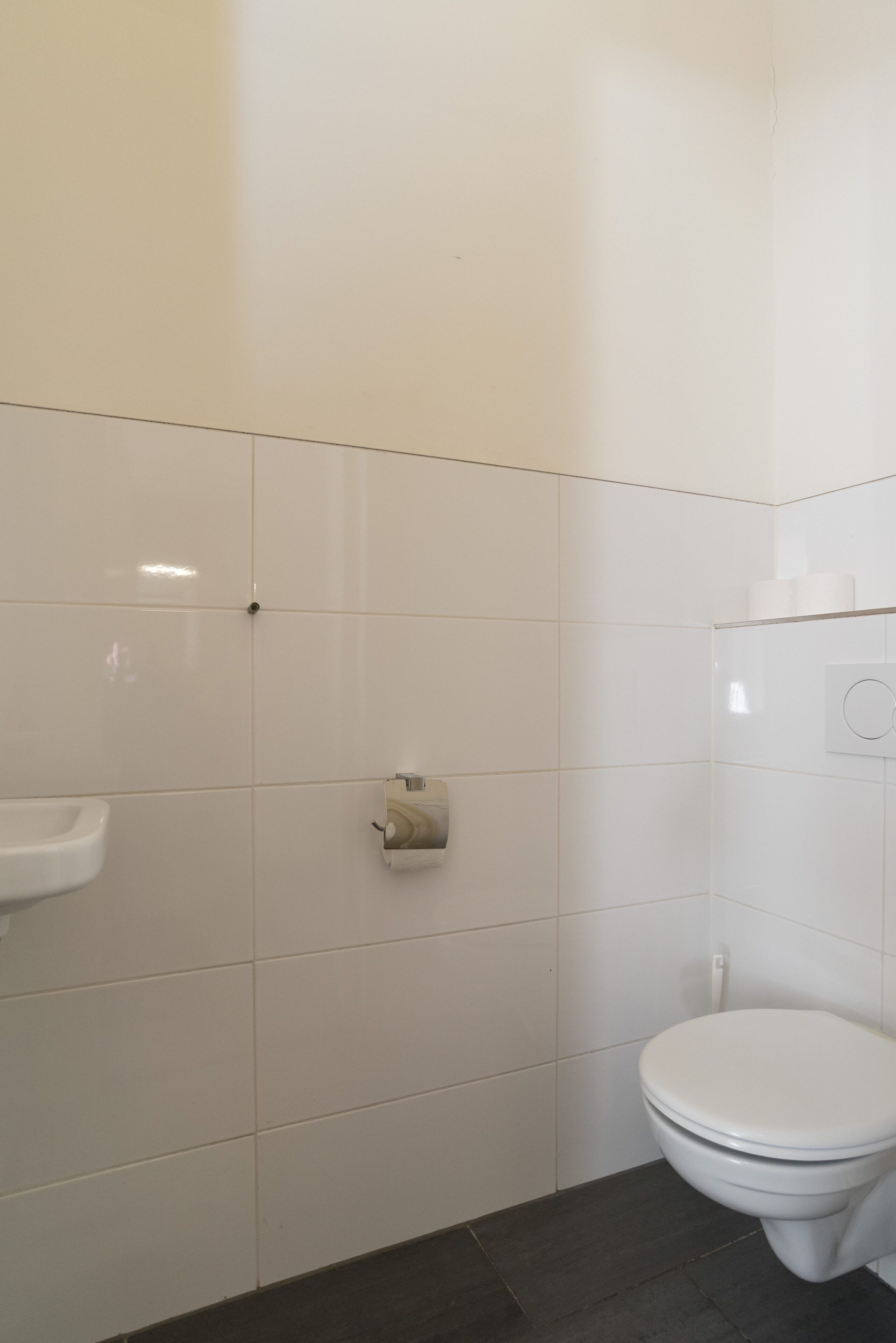 Een douche, een haardroger, handdoeken, shampoo
