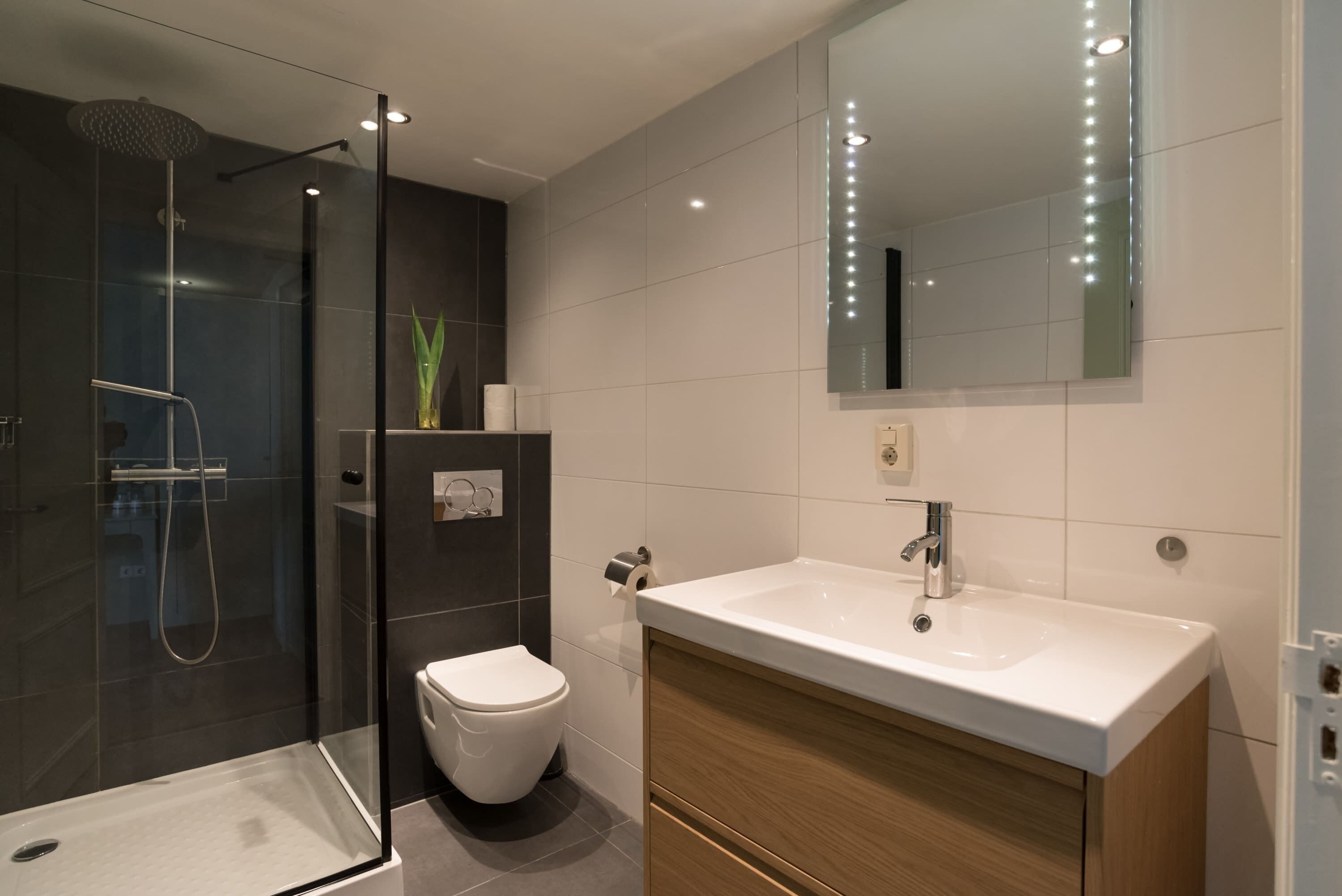 Een moderne badkamer met een douche met glazen wand, een toilet en een wastafel met spiegel.