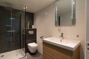 Douche, séchoir à cheveux, serviettes fournies