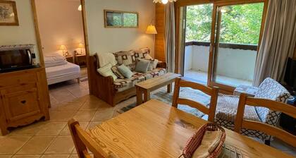 Quiet T3 in Samoëns with Wifi and Parking