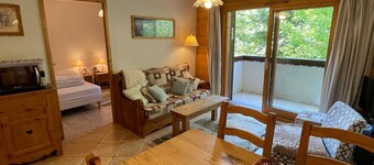 Quiet T3 in Samoëns with Wifi and Parking