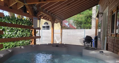 Hadley's Hideaway -Cottage w/ hot tub, fenced yard close to hikes & Stevens Pass ski hill