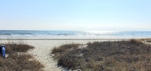 A beach with a sandy path leading to the water, surrounded by dry grass and a trash bin.