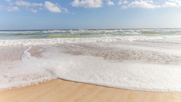 Condo (2 Bedrooms) | Property amenity - Four Winds by Distinctive Beach Rentals (St. Augustine)