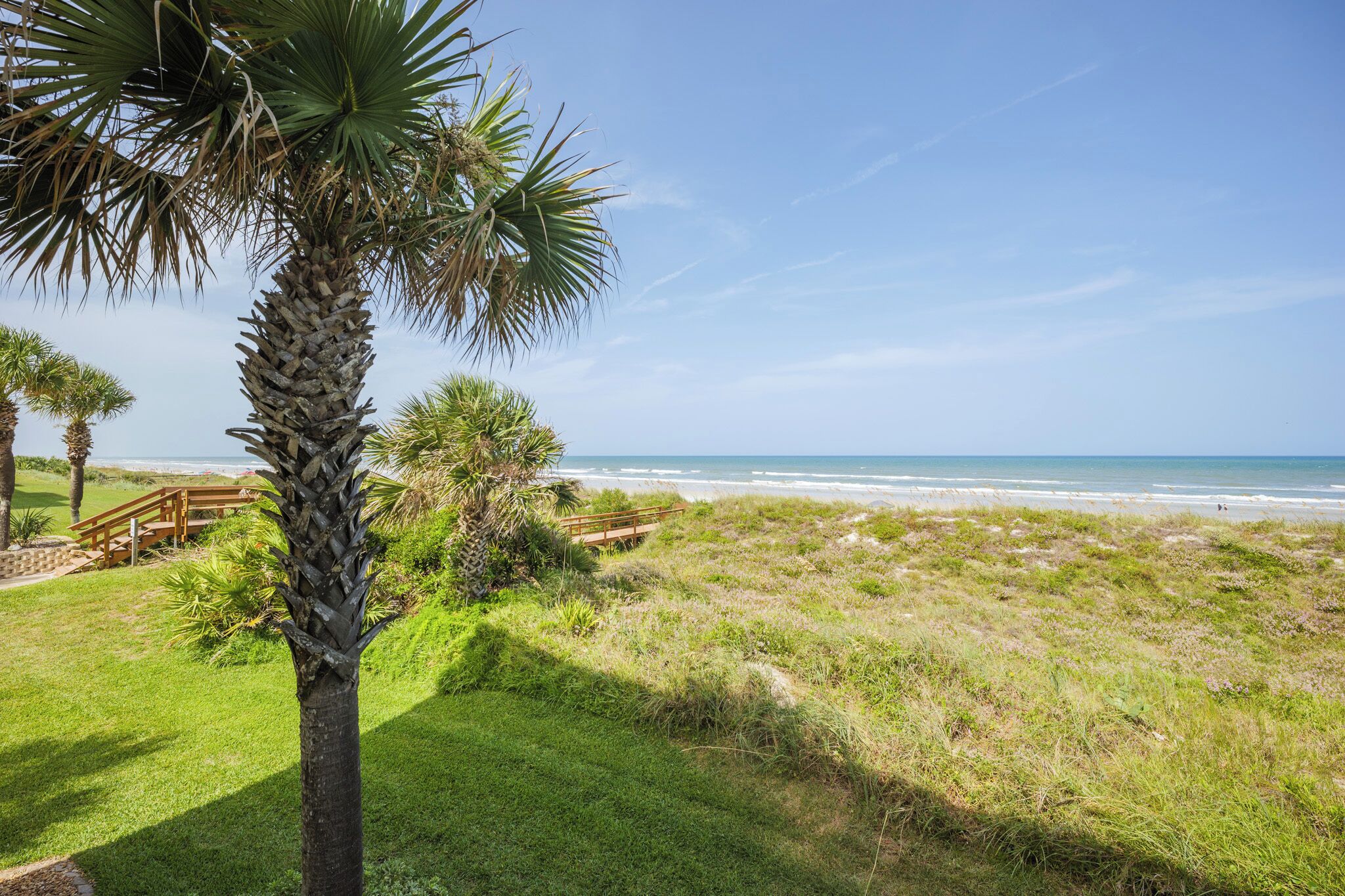 Een kustlandschap met een palmboom, een houten looppad en een strand op de achtergrond.