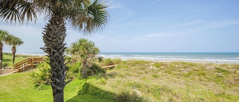 Een kustlandschap met een palmboom, een houten looppad en een strand op de achtergrond.