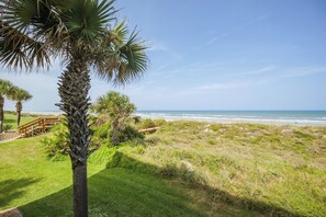 Paisaje costero con una palmera, un camino de madera y una playa al fondo.
