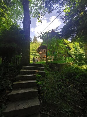 Eine Holzhütte mit einer Steintreppe, die zu ihr hinaufführt, umgeben von üppigem Grün.
