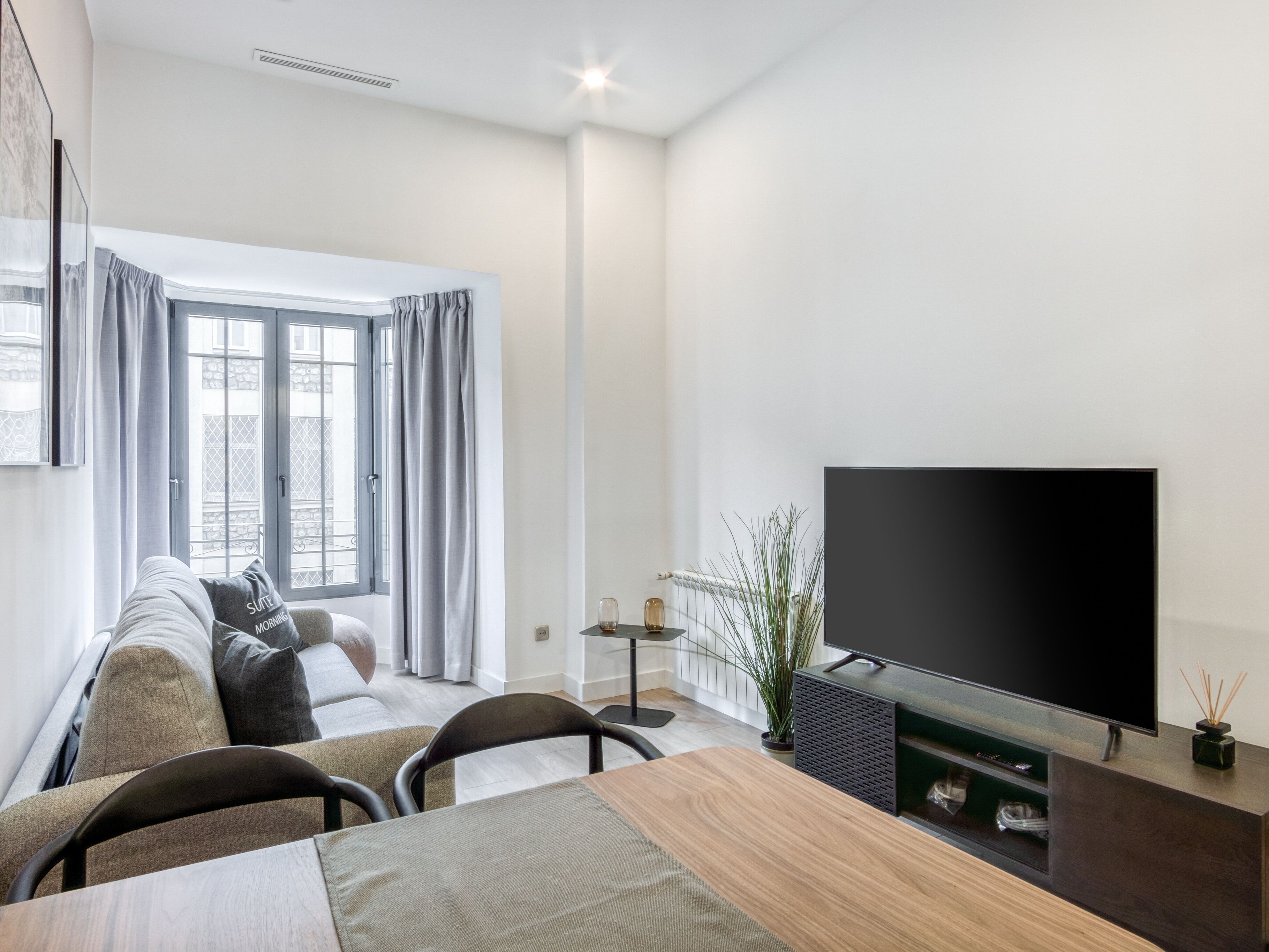 A modern living room with a sofa, a coffee table, a TV, and a plant.