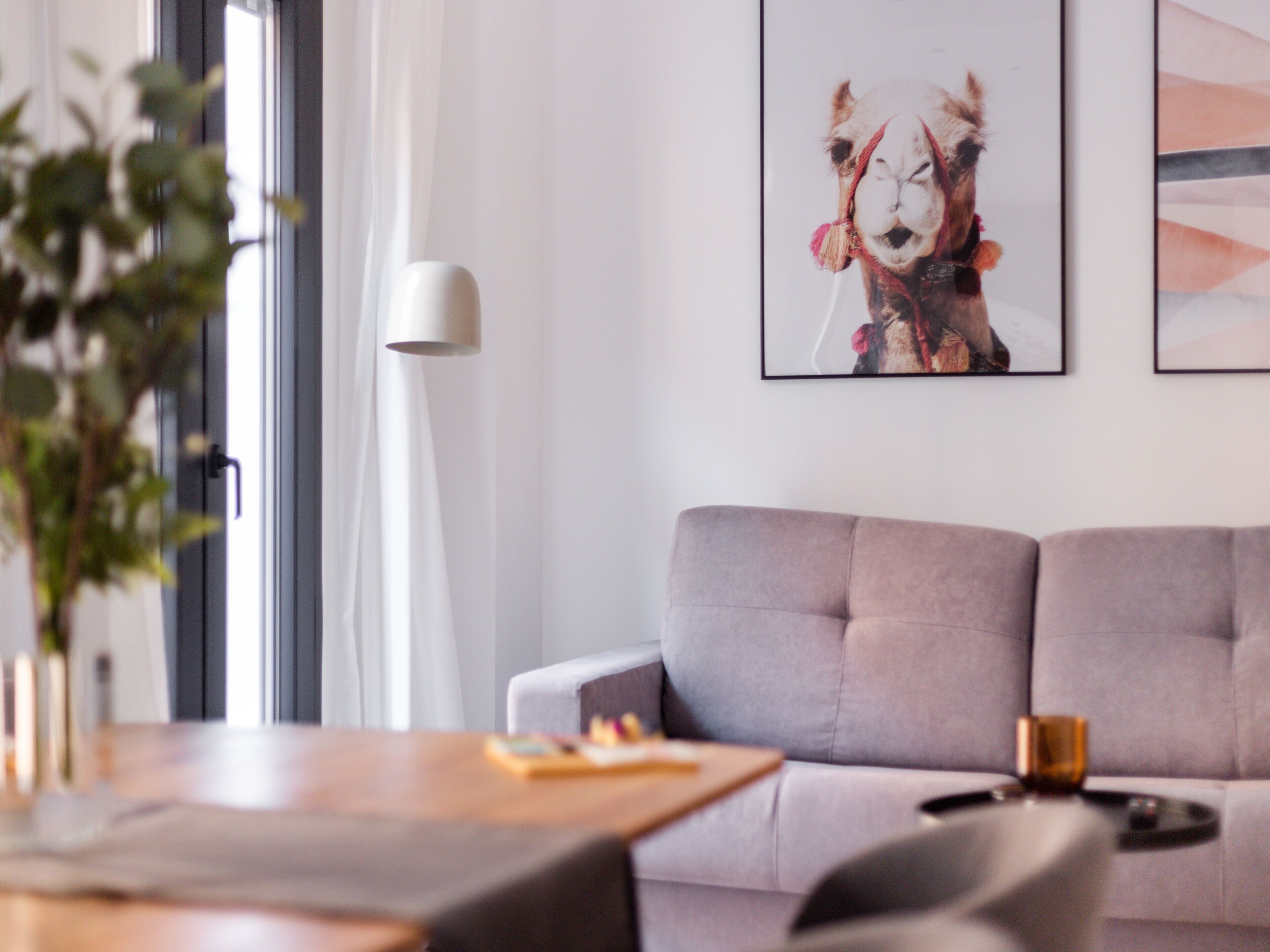 A modern living room with a grey sofa, a coffee table, and a framed picture on the wall.