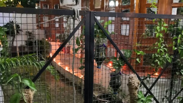 Une cour avec une clôture en métal noir, des plantes en pot et, au fond, un bâtiment blanc avec des portes en bois.