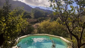 Ein Schwimmbecken, umgeben von üppiger Vegetation und Bergen im Hintergrund.
