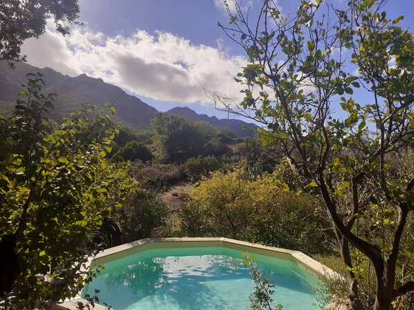 A swimming pool surrounded by lush greenery and mountains in the background.