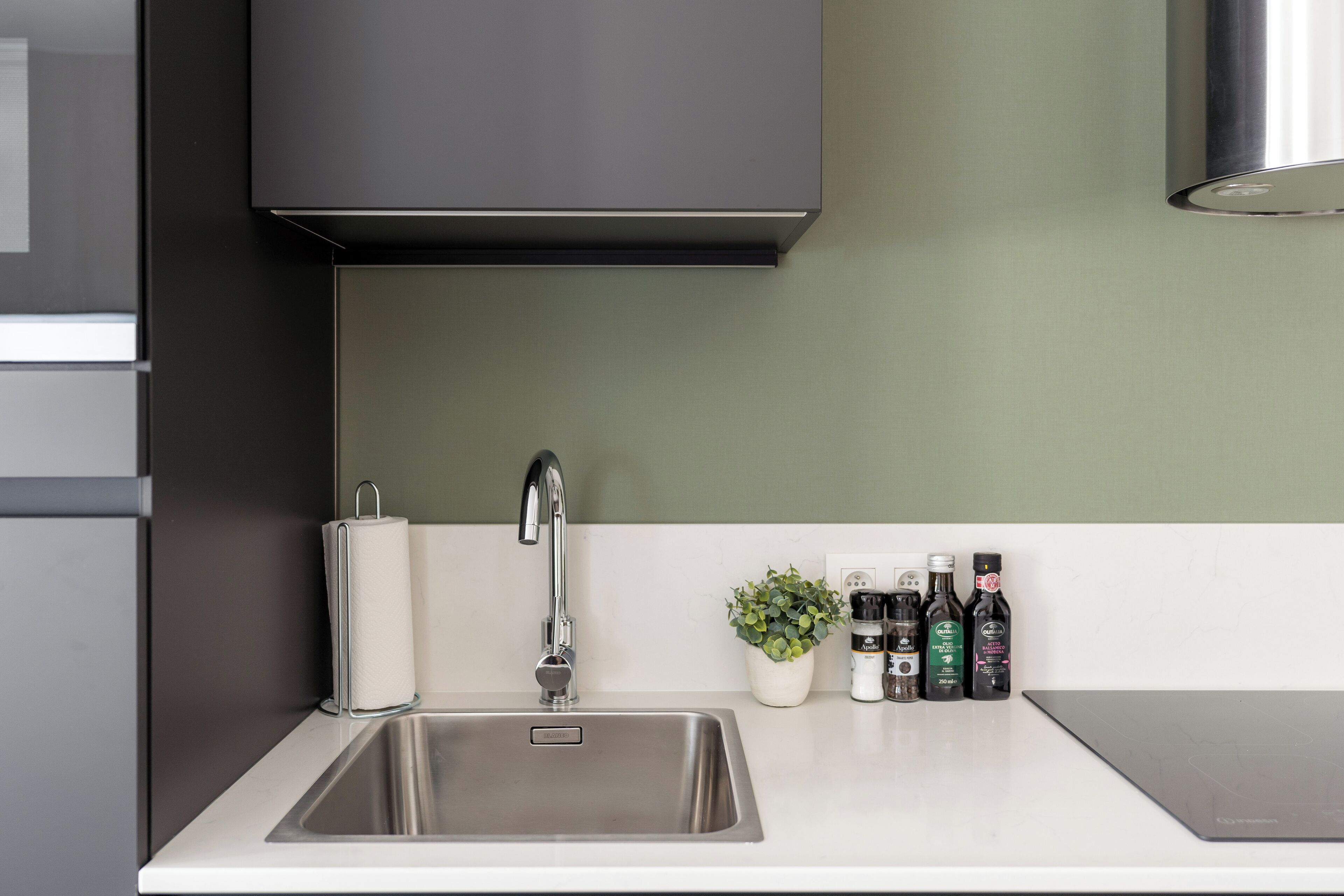 A modern kitchen with a stainless steel sink, a faucet, a potted plant, and a row of condiment bottles.