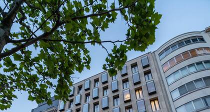 YAYS Antwerp Opera by Numa