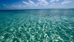 Une eau turquoise et limpide, dont la surface reflète la lumière du soleil.