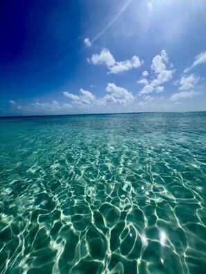 Plage à proximité, chaises longues, serviettes de plage