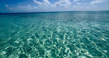 Cat's Cove, Pigeon Cay - 2 Acres w/ Private Beach