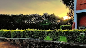 A stone wall, a hedge, and a brick building with a door. - Hills Nature Resort (Gurugram)