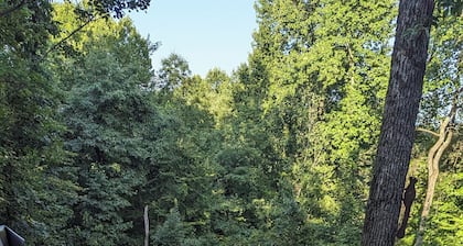 Modern Mountain Retreat in Serene Lake Community