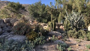 Property grounds - Cedar Cottage Retreat with Mountain View’s  (El Cajon)