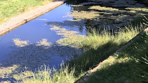 A natural landscape with a small pond surrounded by grass and trees. - Meublé de tourisme in an old farmhouse for 4 people ( 2 stars) (Anould)