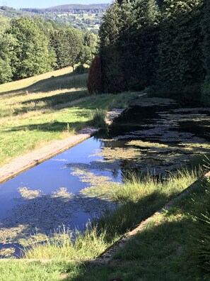 Áreas de la propiedad
