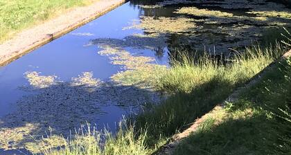 Meublé de tourisme in an old farmhouse for 4 people ( 2 stars)