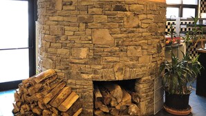Una chimenea de piedra con leña, una planta en maceta y un patrón de pared a cuadros.