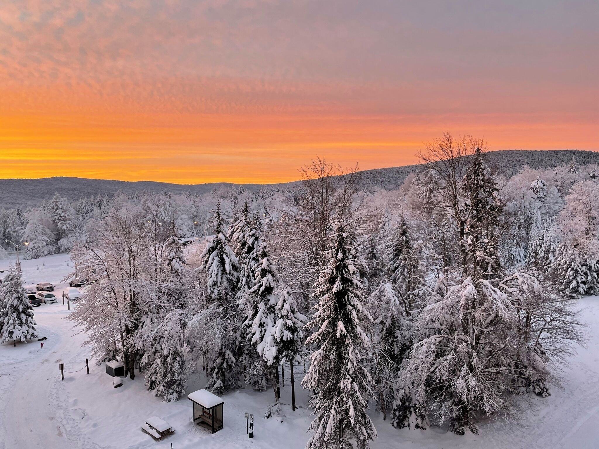 Un paysage enneigé, avec un ciel dégagé au coucher du soleil, où l’on aperçoit des arbres recouverts de neige et un espace aménagé avec des bancs.