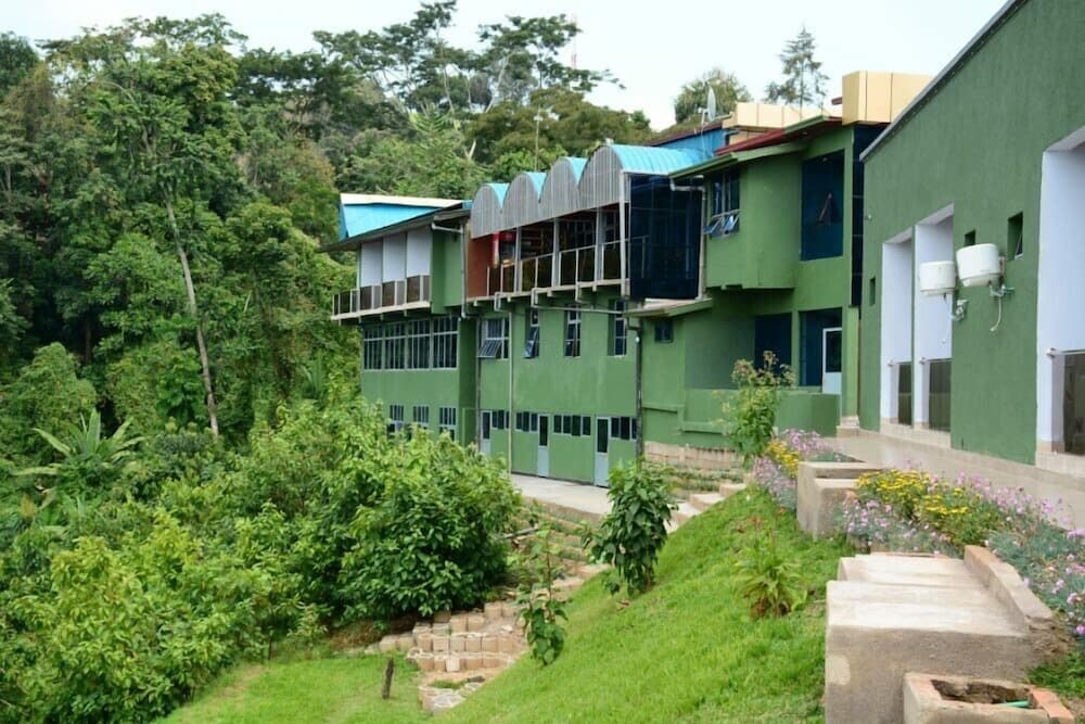 Chimpanzee Lodge photo 5