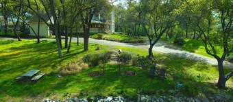 Unique Experience on a Working Alpacas Ranch.