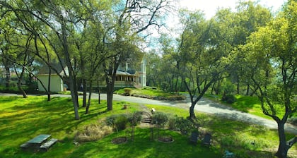 Unique Experience on a Working Alpacas Ranch.