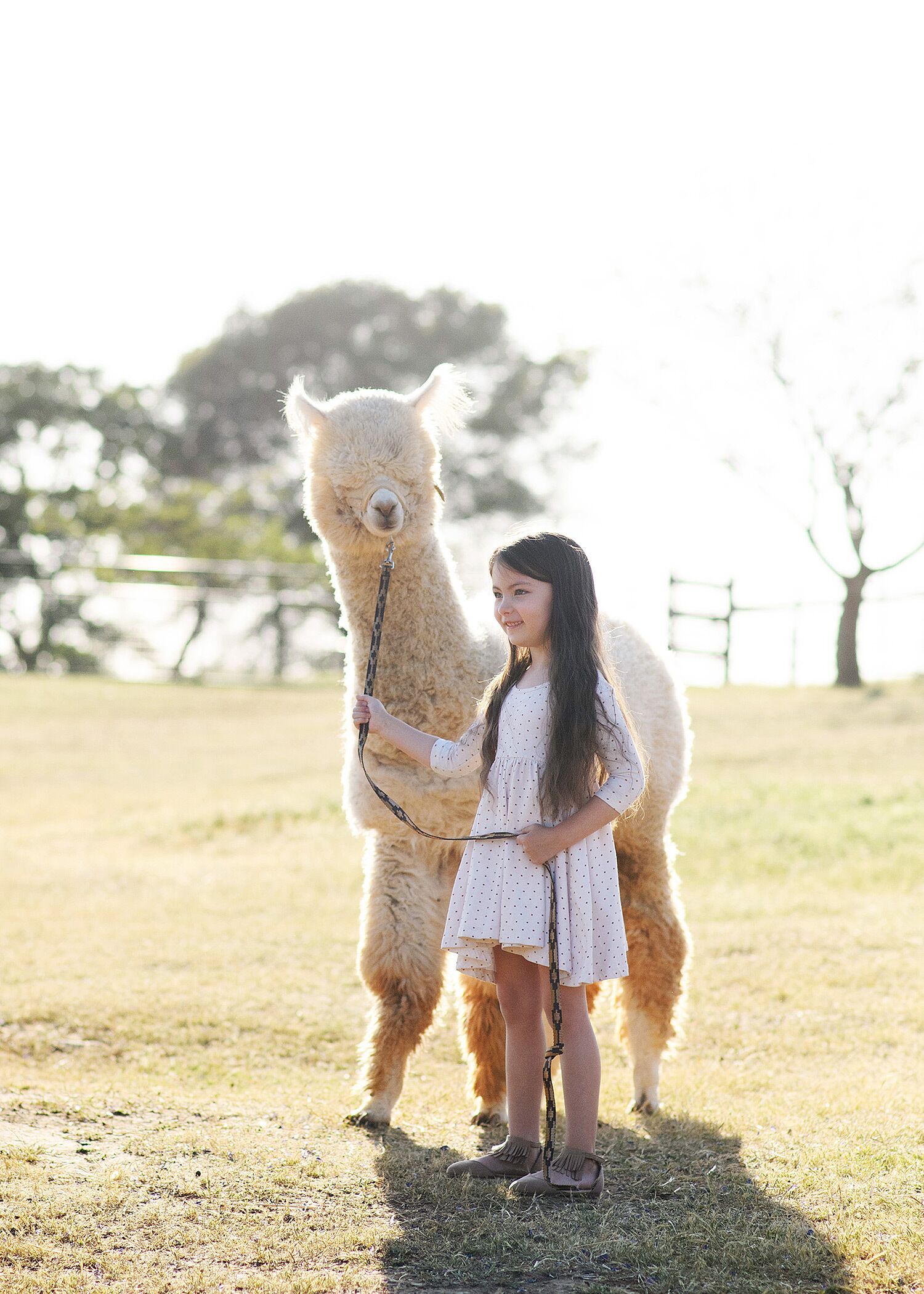 Unique Experience on a Working Alpacas Ranch.