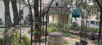 Unique Experience on a Working Alpacas Ranch.