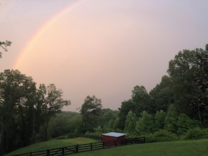 Property grounds - Guesthouse (Crozet)