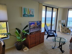 Smart TV, DVD player, books, video library