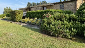A brick building with a tiled roof, surrounded by well-maintained hedges and a grassy lawn.