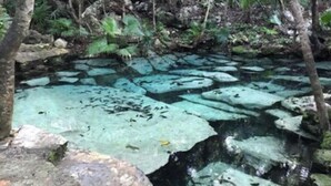 A natural pool with clear water, surrounded by rocks and vegetation.