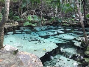 المنطقة المحيطة بالمنشأة