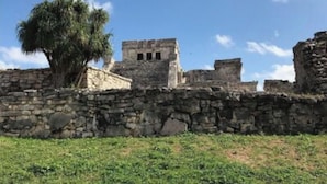 Ancient stone ruins with a large tree in the foreground.