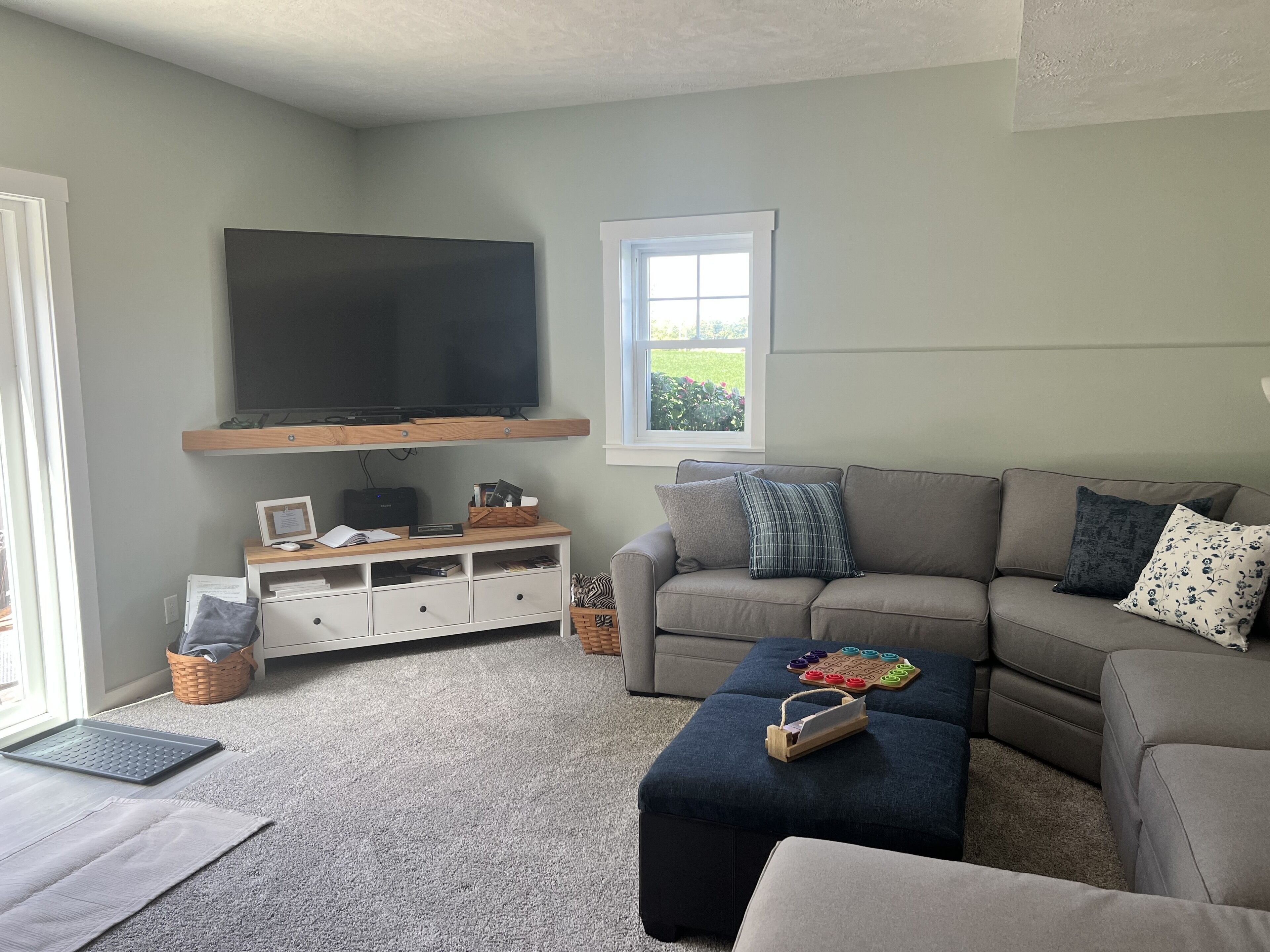 TV, DVD player, ping pong, books