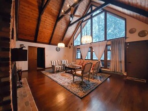 Smart-TV, Kamin, Videospiele, Bücher