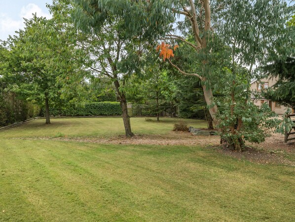 A well-maintained grassy area with mature trees and a stone pathway.