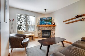 TV, fireplace, books