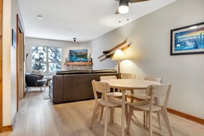 TV, fireplace, books