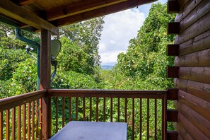 Property grounds - Luxury Mountain Getaway 5 Minutes from Pigeon Forge Parkway! (Pigeon Forge)