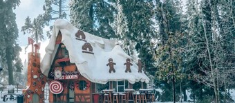 Pinecone Lodge-Adventure|Hot Tub|Privacy|10-Acres