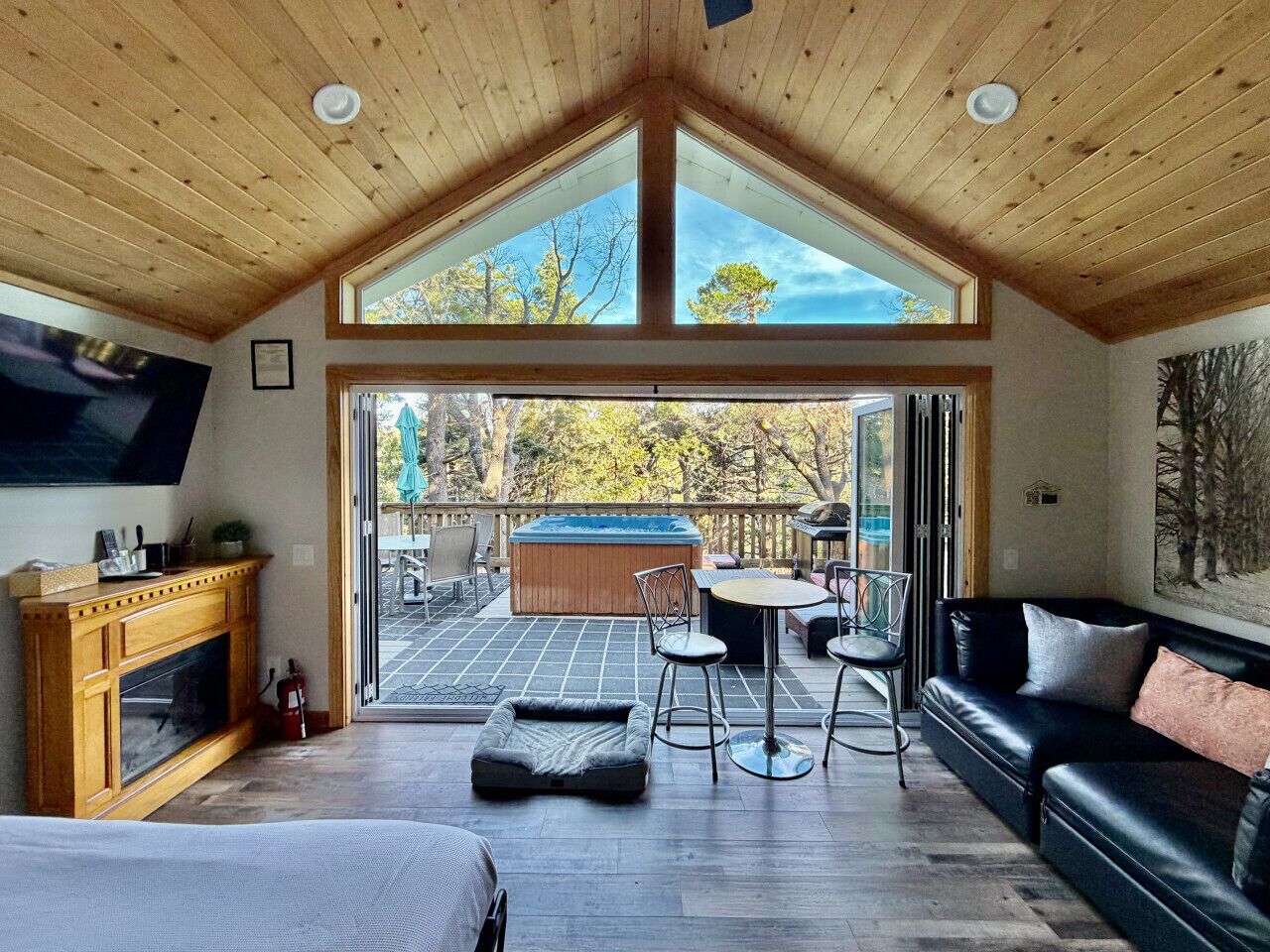 Smart TV, fireplace, books