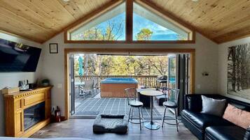 Smart TV, fireplace, books